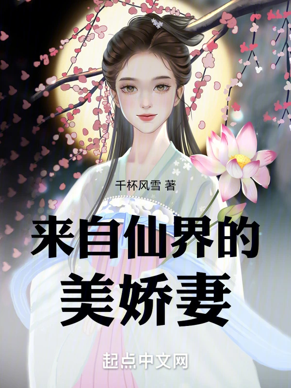 来自仙界的美娇妻
